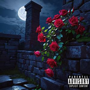 Swear I Would (Remix)