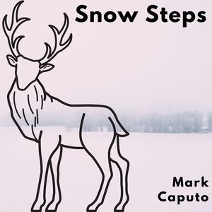 Snow Steps