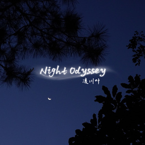 Night Odyssey