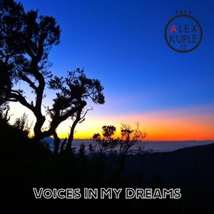 Voice In Dream