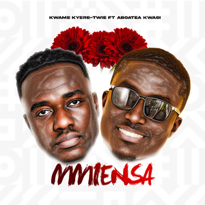 Mmiensa