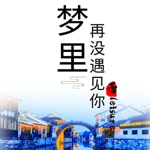 梦里再没遇见你