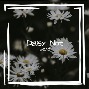 Daisy Not (Part II)