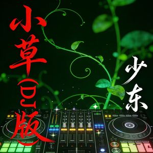 小草（DJ版）