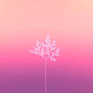 Rain In The Spring Time (Piano Arrangement)