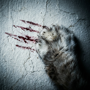 深渊里的眼睛 (Abyss Eyes)