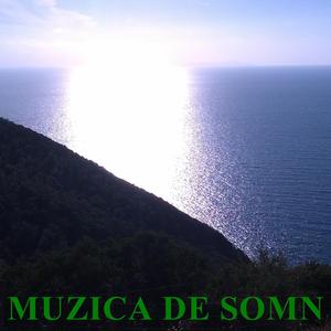 Muzica De Somn