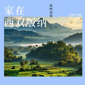 山谷里的风-The wind in the valley