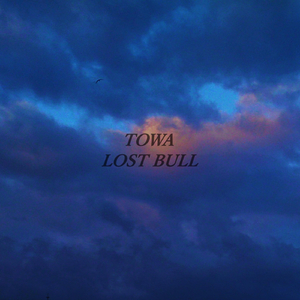 Towa
