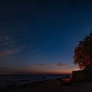 她教会风如何呼吸