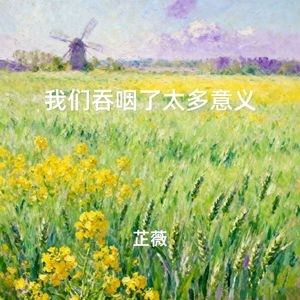 我们吞咽了太多意义