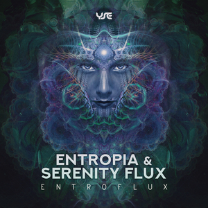 Entroflux (Original Mix)