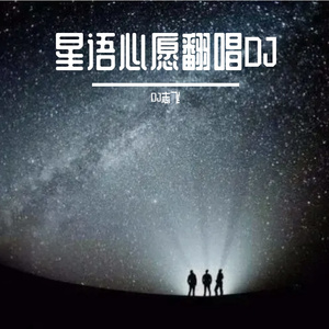 张柏芝-星语心愿（DJ志飞 remix）