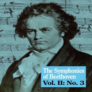Symphony No. 3 in E-Flat Major, Op. 55 "Eroica": I. Allegro con brio