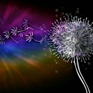 Healing Sleep (3hr) [Healing / Sleep / Meditation]