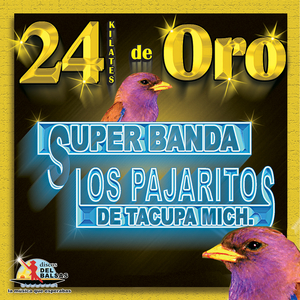 Punalada Trapera