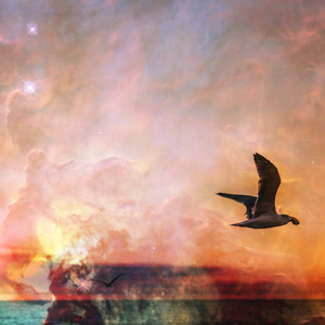 帰還 （Subscription ver.）