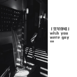 「竖琴弹唱」wish you were gay（翻自 Billie Eilish）