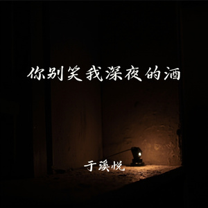 你别笑我深夜的酒