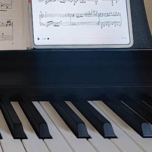 彭飞-萱草花-钢琴版（御地哥哥 remix）