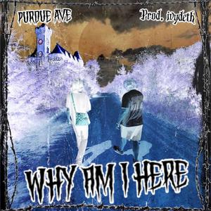 Why am I here (feat. Ghostu & Tem3nos)
