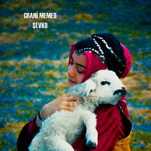 Şevko