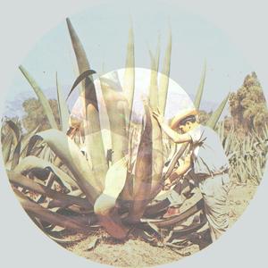 Tripulación