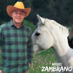 Diferencias de la Vida