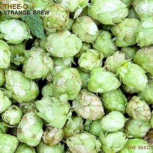 Strange Brew (Original Mix)