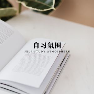 音乐之灯 (刷题自习室)