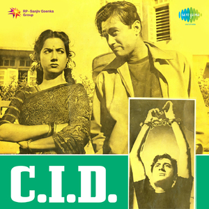 Jata Kahan Hai Diwane