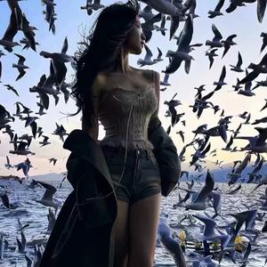 此去半生（大明不妙曲）