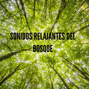 Sonidos del Bosque