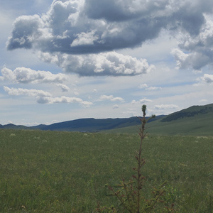 各学科的地位（马马马C波压力山大） (马马马C波压力山大)