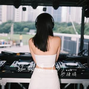 红昭愿 (DJ版)