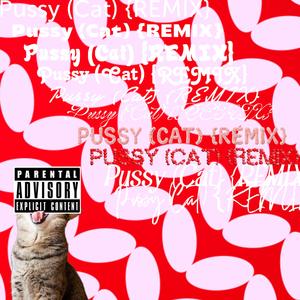 Pussy (REMIX) [Cat]