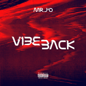 Vibe Back