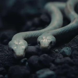 shut up my moms calling