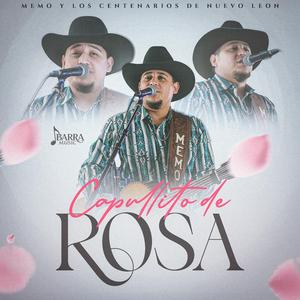 Capullito De Rosa