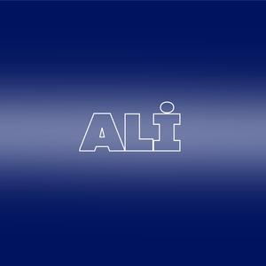 Bir Türkü Diyeceğim (feat. Ali)