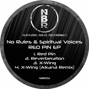 X-Wing (Aikanã Remix)