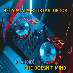 DJ Hei Apa Apa x Tiktak x She Doesn't Mind