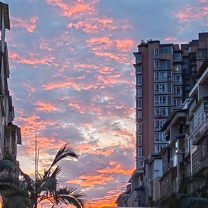 Butterfly(女生版)-狗子