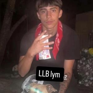 North Gang (LLB)