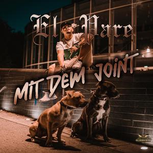 Mit dem Joint (feat. Parevato)