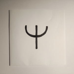 Metamorfosis del lobo