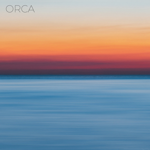 Orca