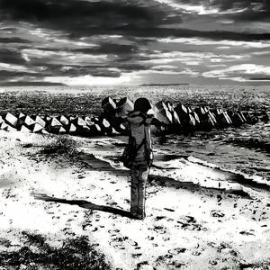 琳达弗蕾的遗物