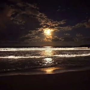 泪桥