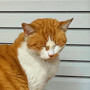 Happiness (feat. Namil) prod by SOULFRESH BEATS